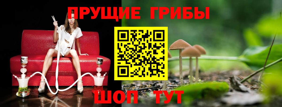 Псилоцибиновые грибы мухоморы  Псилоцибиновые грибы мухоморы  Дедовск  Вход с VPN 